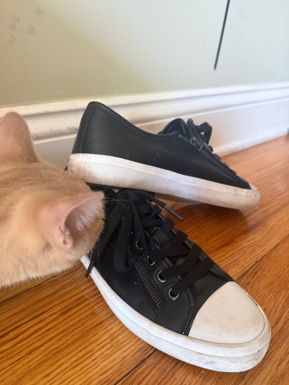Coach Black Leather Low-Top Sneakers with White Toe Caps - Picture 3 of 5